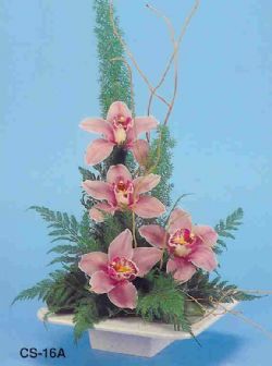  Erzincan iek online iek siparii  vazoda 4 adet orkide 