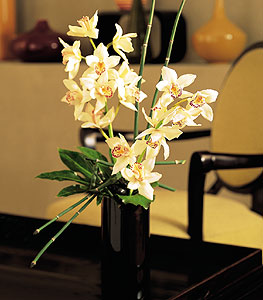  Erzincan nternetten iek siparii  cam yada mika vazo ierisinde dal orkide