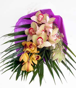  Erzincan iek sat  1 adet dal orkide buket halinde sunulmakta