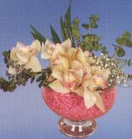  Erzincan iekiler  Dal orkide kalite bir hediye