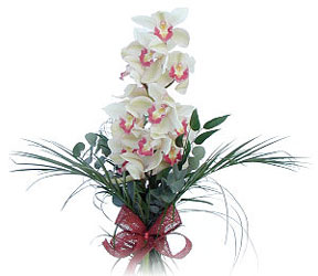  Erzincan online ieki , iek siparii  Dal orkide ithal iyi kalite