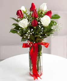 5 kırmızı 4 beyaz gül vazoda  Erzincan çiçek satışı 