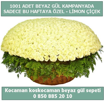 1001 adet beyaz gül sepeti özel kampanyada  Erzincan 14 şubat sevgililer günü çiçek 