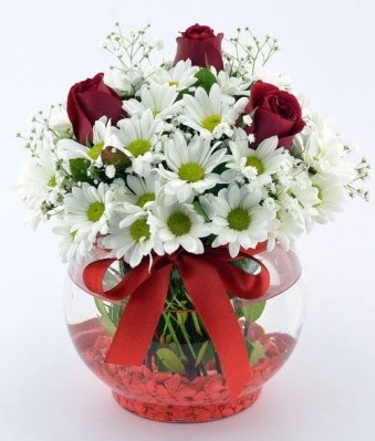 Fanusta 3 Gül ve Papatya  Erzincan çiçek yolla , çiçek gönder , çiçekçi  