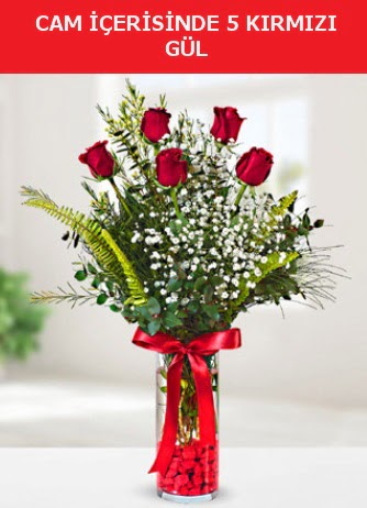 Cam içerisinde 5 adet kırmızı gül  Erzincan online çiçekçi , çiçek siparişi 