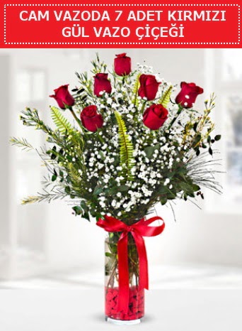 Cam vazoda 7 adet kırmızı gül çiçeği  Erzincan 14 şubat sevgililer günü çiçek 