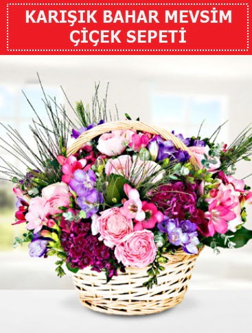 Karışık mevsim bahar çiçekleri  Erzincan kaliteli taze ve ucuz çiçekler 