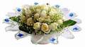 cam günes ve dolunay bembeyaz  Erzincan çiçek mağazası , çiçekçi adresleri 