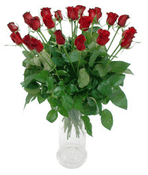  Erzincan çiçek online çiçek siparişi  11 adet kimizi gülün ihtisami cam yada mika vazo modeli