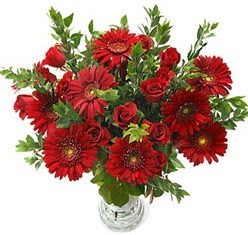 5 adet kirmizi gül 5 adet gerbera aranjmani  Erzincan güvenli kaliteli hızlı çiçek 