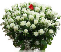  Erzincan çiçek yolla , çiçek gönder , çiçekçi   100 adet beyaz 1 adet kirmizi gül buketi