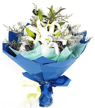  Erzincan hediye çiçek yolla  4 adet dal kazablankadan görsel buket