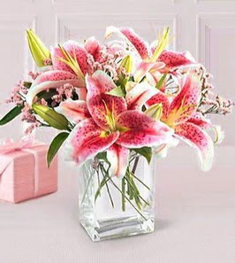2 dal kazablanka görsel vazosu  Erzincan online çiçekçi , çiçek siparişi 