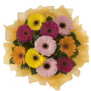  Erzincan uluslararası çiçek gönderme  11 adet karışık gerbera çiçeği buketi