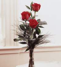  Erzincan çiçek yolla , çiçek gönder , çiçekçi   Vazoda 3 adet güzel gül