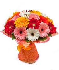 Renkli gerbera buketi  Erzincan hediye çiçek yolla 
