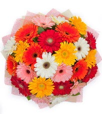 15 adet renkli gerbera buketi  Erzincan online çiçek gönderme sipariş 
