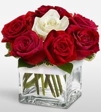 Tek aşkımsın çiçeği 8 kırmızı 1 beyaz gül  Erzincan çiçek , çiçekçi , çiçekçilik 