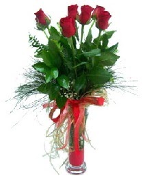 vazo içerisinde 5 kırmızı gül  Erzincan çiçek siparişi vermek 