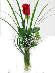 Cam içerisinde 1 kırmızı gül  Erzincan 14 şubat sevgililer günü çiçek 