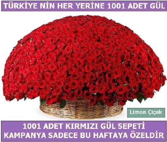 1001 Adet kırmızı gül Bu haftaya özel  Erzincan uluslararası çiçek gönderme 