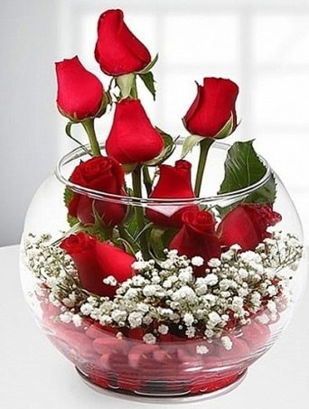 Kırmızı Mutluluk fanusta 9 kırmızı gül  Erzincan online çiçekçi , çiçek siparişi 