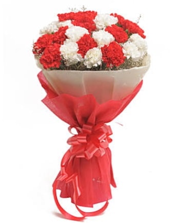 21 adet kırmızı beyaz karanfil buketi  Erzincan çiçek servisi , çiçekçi adresleri 